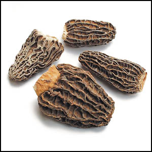 Manufacturers Exporters and Wholesale Suppliers of Dried Morels srinager Jammu & Kashmir